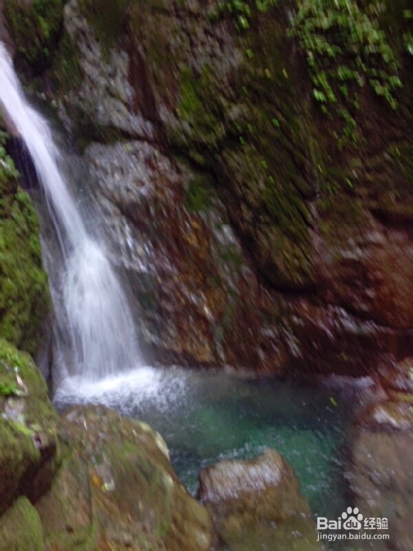 青城后山游览