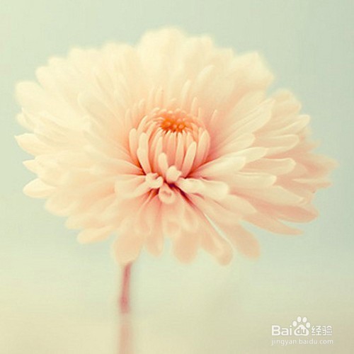 如何让香味持久一整天