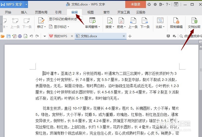 word文档加密怎么取消