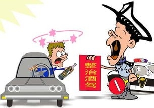 喝完酒后要多长时间可以开车