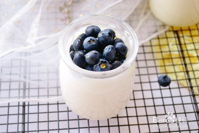教大家如何制作自制无添加健康的蓝莓酸奶