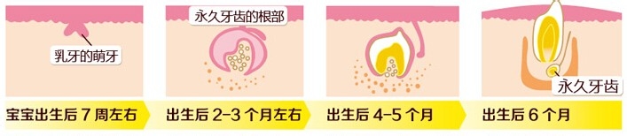 如何护理宝宝牙齿从“零”岁开始!