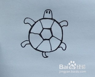 简笔画：一只小乌龟