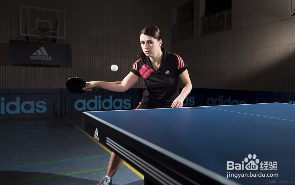 怎样了解乒乓球？