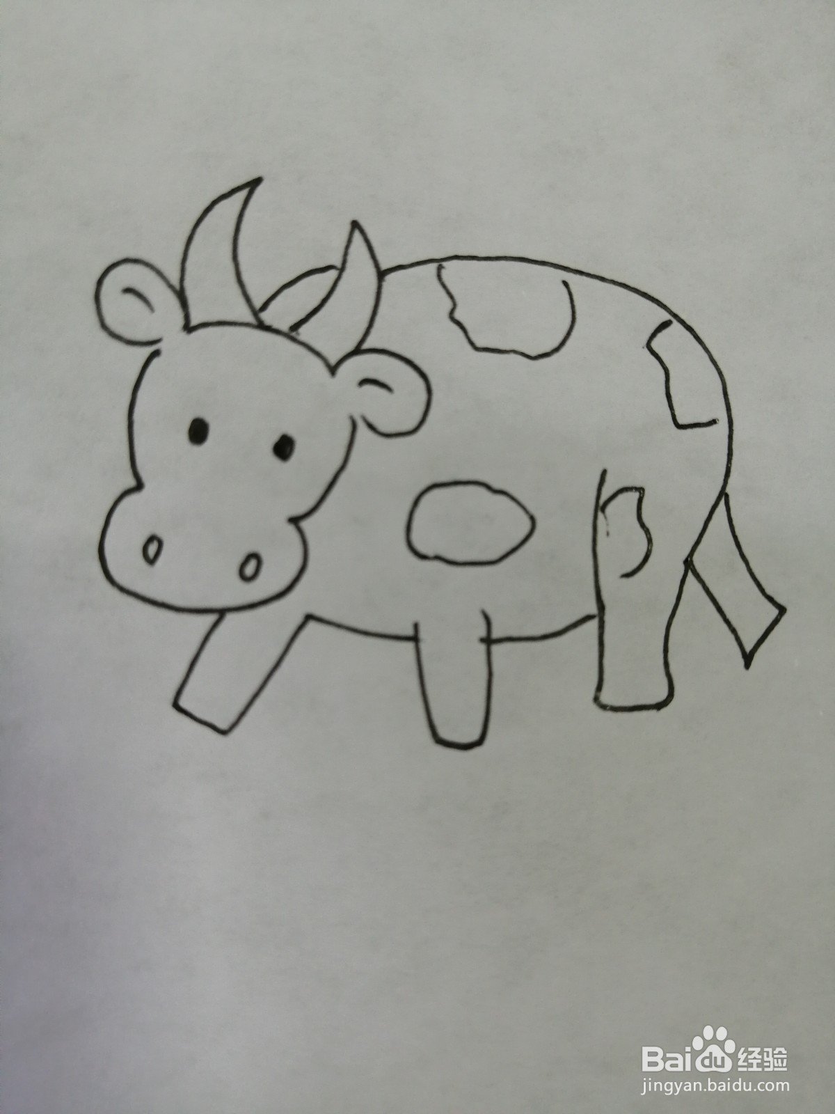 可爱的小牛怎么画