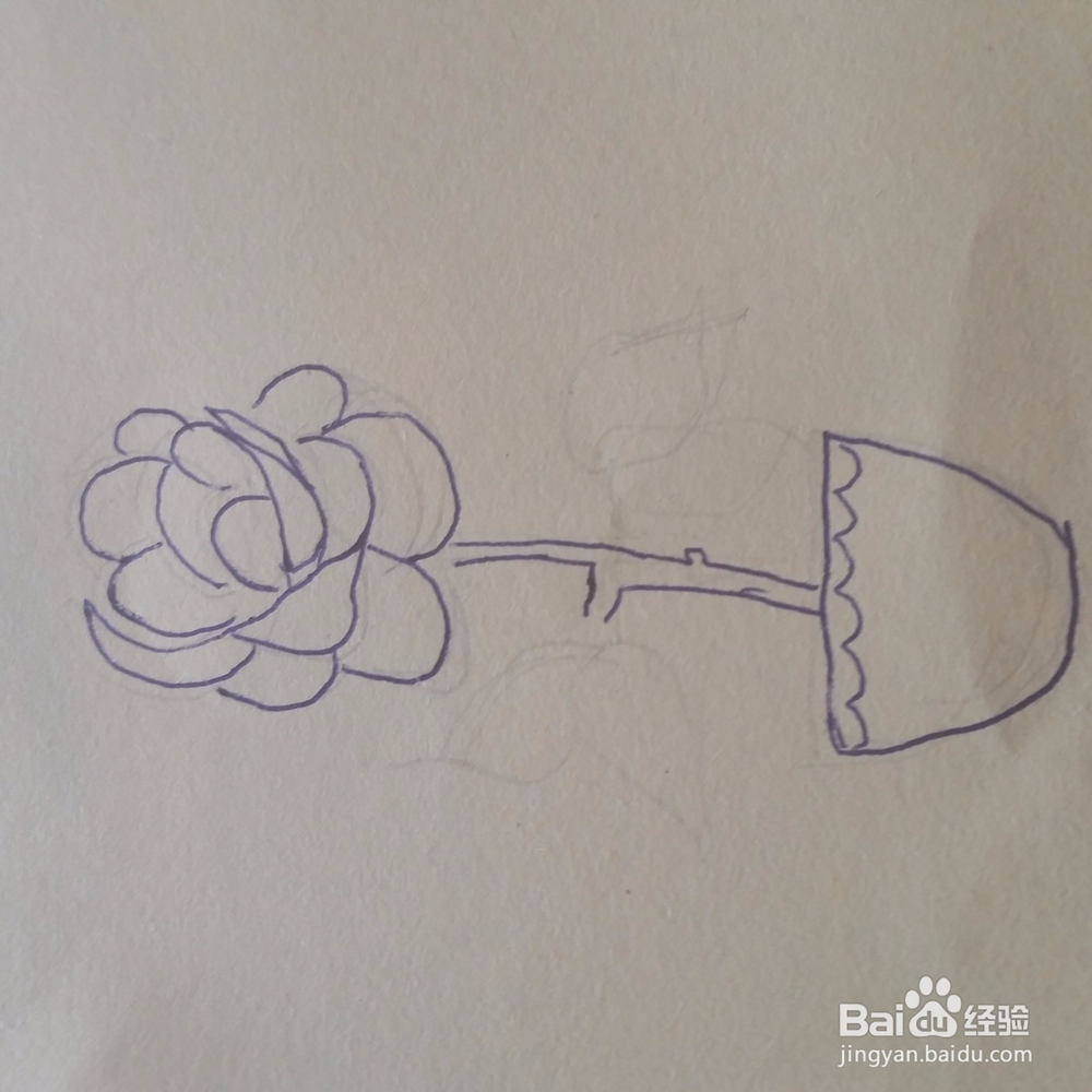 牡丹花简笔画