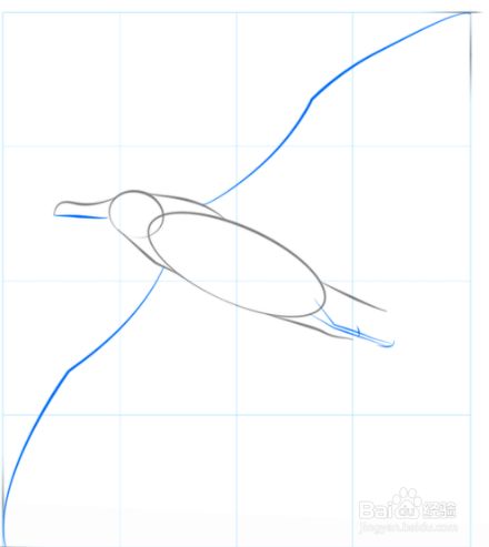 如何画飞翔的信天翁