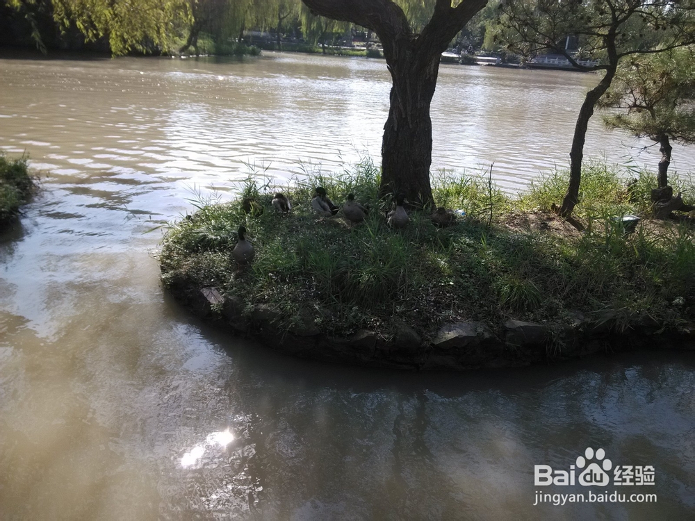 瘦西湖旅游攻略