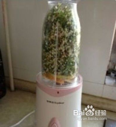 韭菜花酱的做法