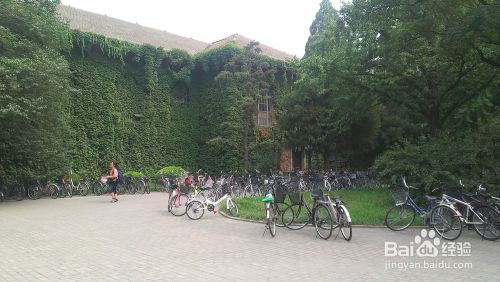 中国最高学府一日游