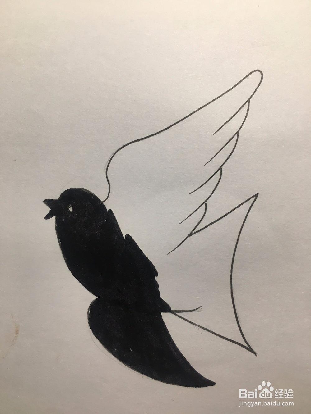 儿童美术 鸽子简笔画 鸽子涂鸦画