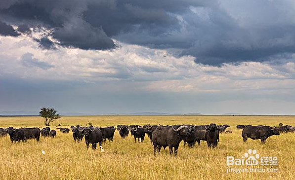 怎样恢复正常视力 呵护全家人视力