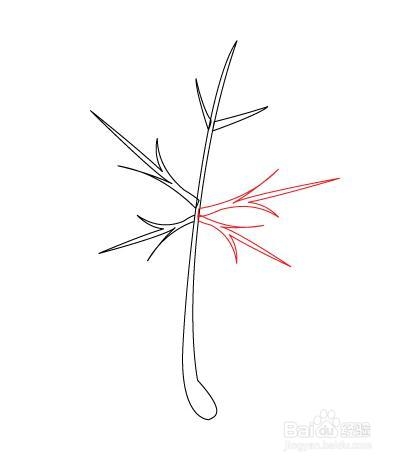 怎么样画四季：[1]秋天枫叶