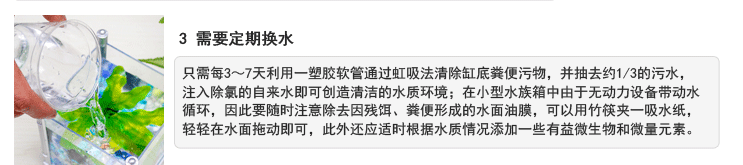 泰国斗鱼日常饲养养护教程