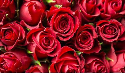 三八妇女节，男士送礼攻略