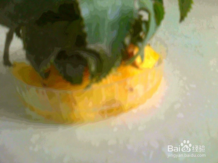 怎样将废弃的菠萝叶做成绿叶花