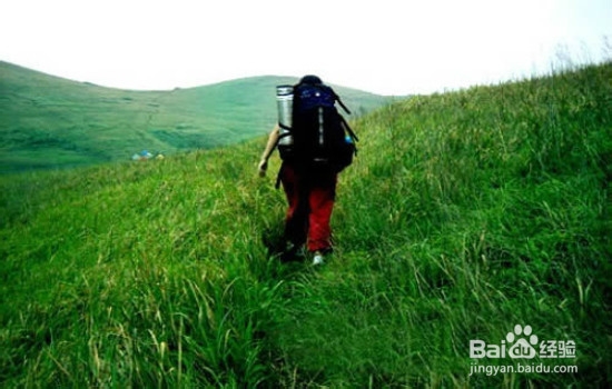 旅游要注意的事情