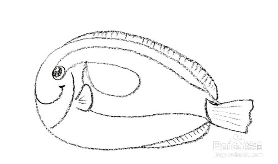 刺尾鱼儿童卡通简笔画教程