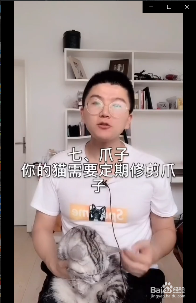 怎么在家给猫咪做体检