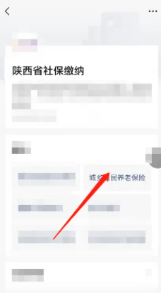陕西省养老保险怎么网上缴费