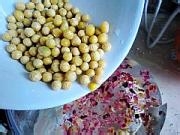 教你做玫瑰花豆浆