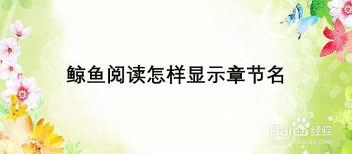 鲸鱼阅读怎样显示章节名
