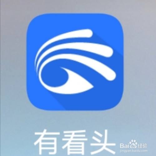 有看头,怎么设置开机自动启动?