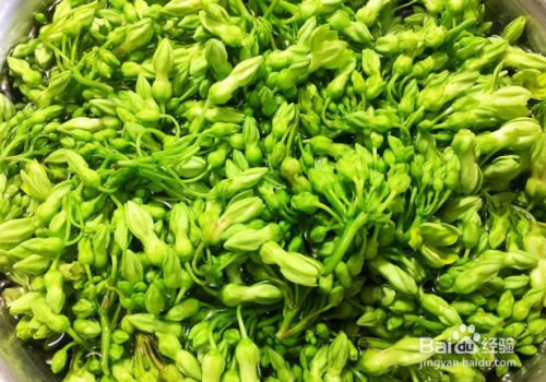 清炒千里香的做法