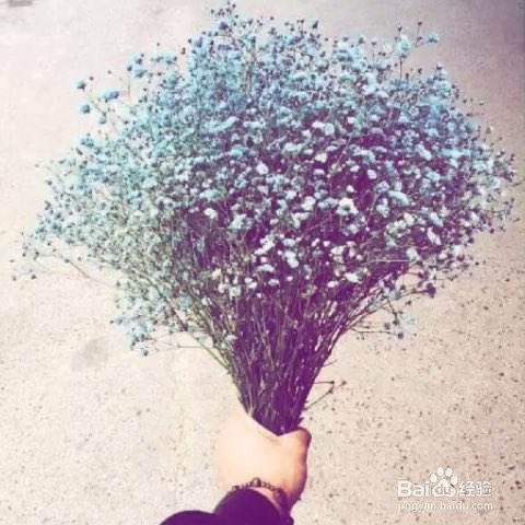 特别受欢迎的鲜花有哪些