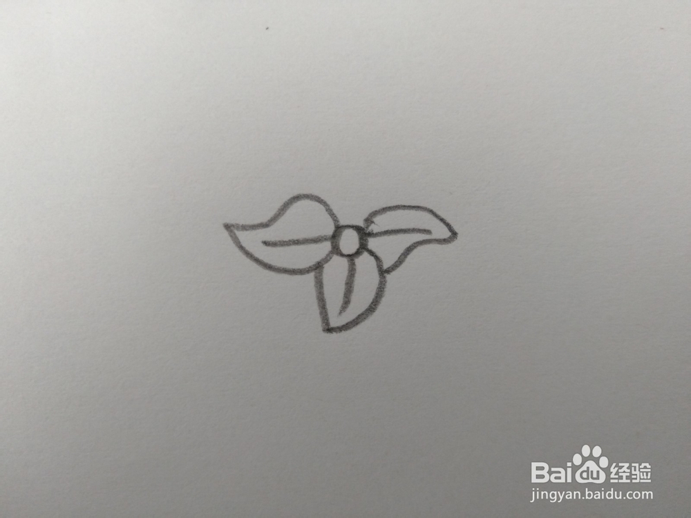 简笔画柿子画法一