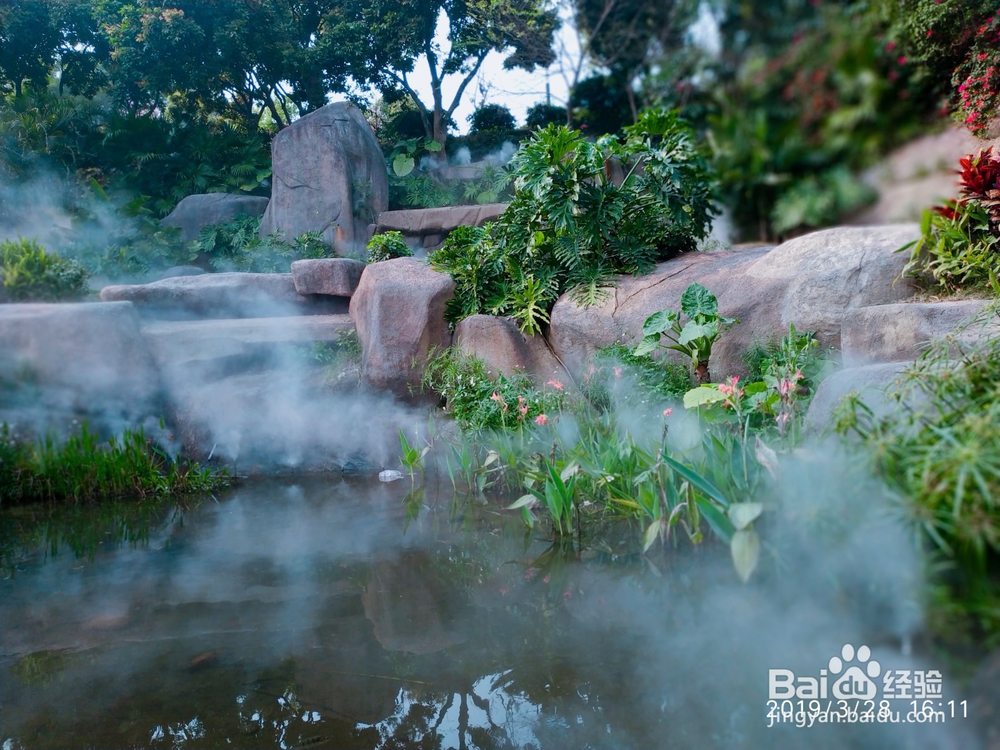 厦门岛公交穷游海沧大屏山郊野公园