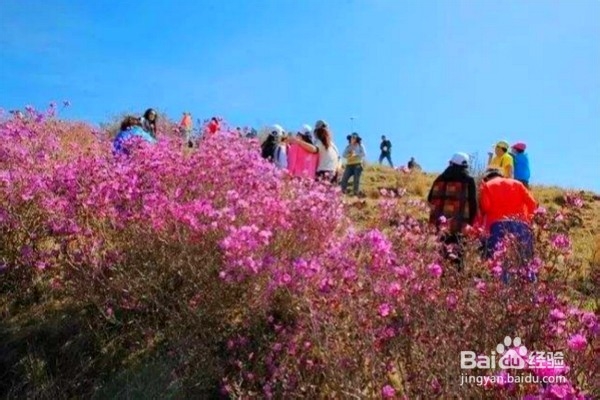 伊春旅游一定要去的8个景点