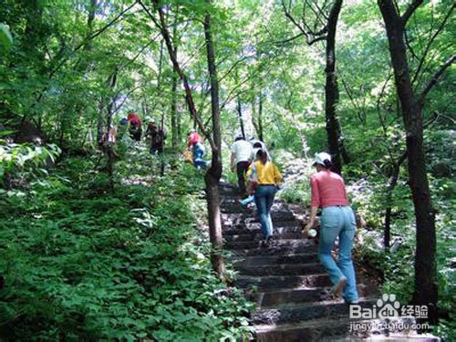 怎样减肥最快最有效