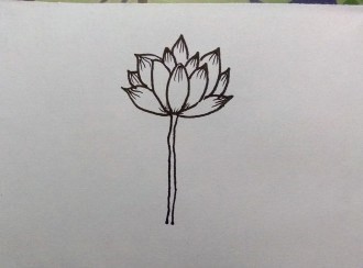 怎么画荷花的简笔画