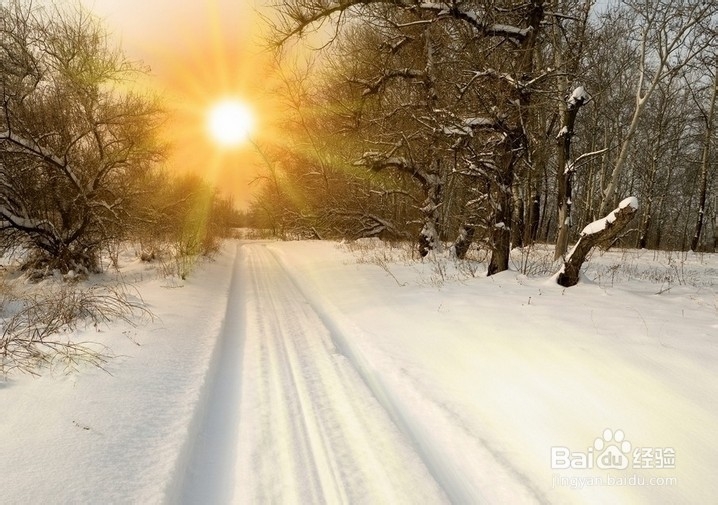 冬季为什么感到手足发冷,应如何应对呢?