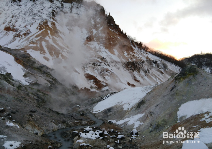 一条性价比爆棚的万元以下日本北海道观雪路线