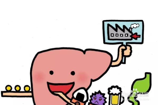 血脂异常有哪些危害