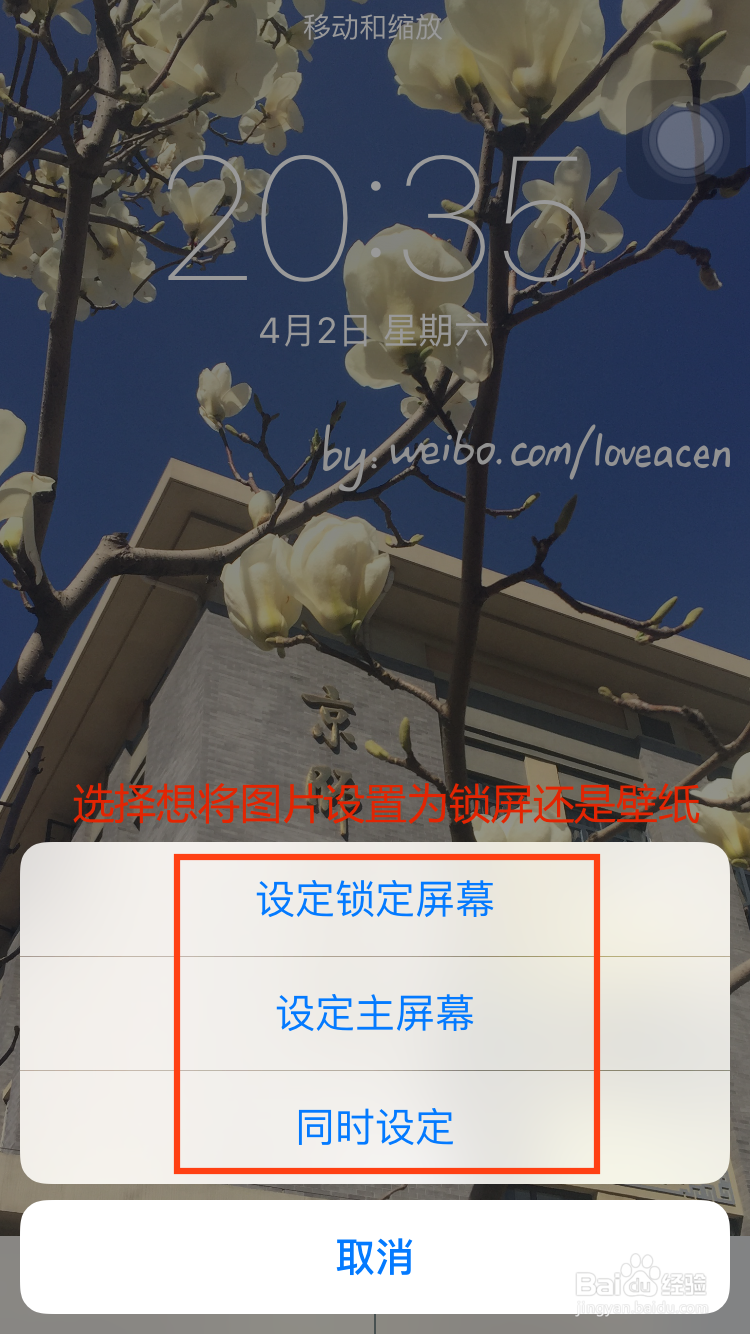 设置锁屏壁纸密码：远程指导爹妈设置iPhone