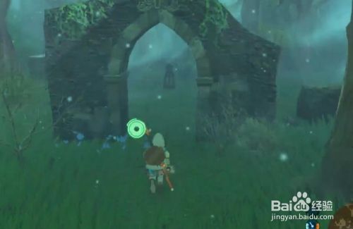 塞尔达传说 荒野之息迷雾森林怎么走 百度经验