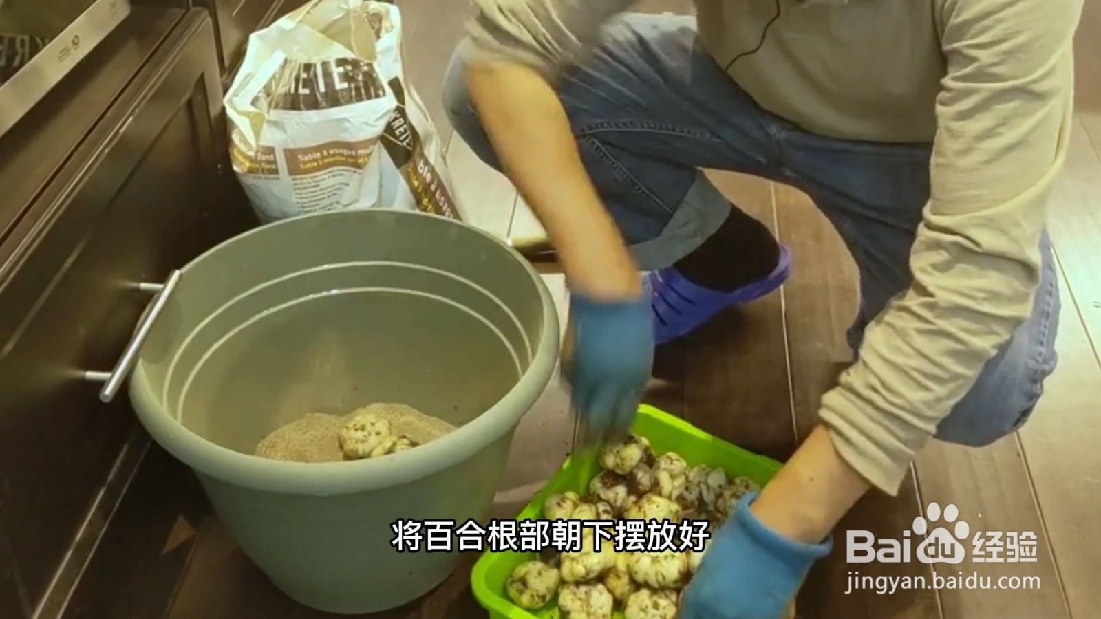 鲜百合怎么保存时间长而新鲜