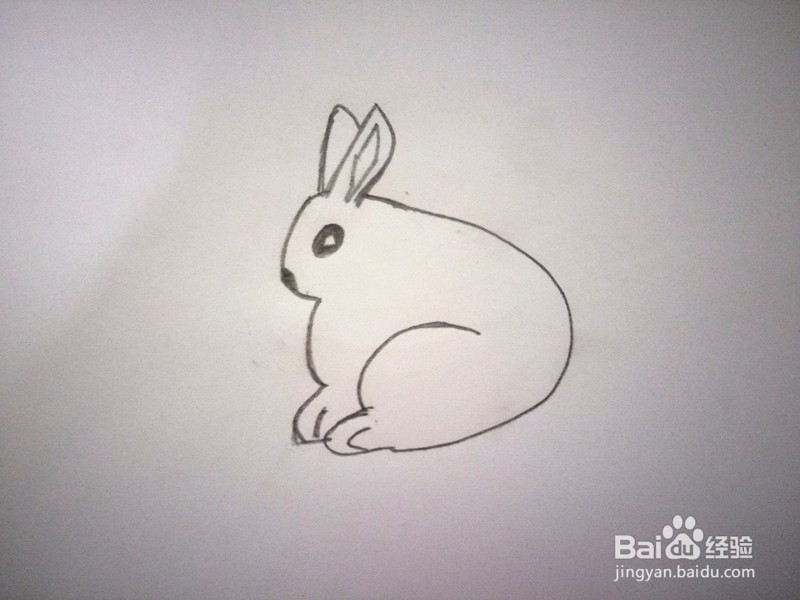 简笔画—小白兔的画法