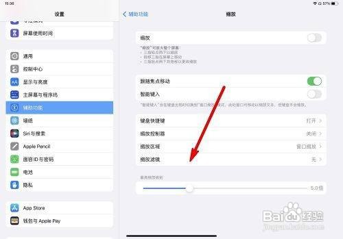 iPad Pro如何设置缩放滤镜