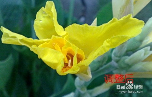 无损让照片更清晰