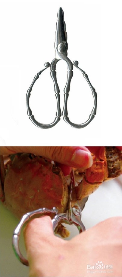 体验蟹八件“文吃”螃蟹!