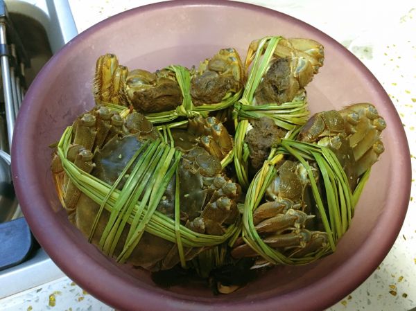 清蒸阳澄湖大闸蟹