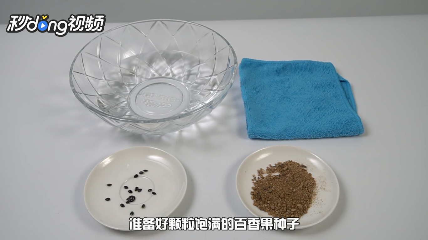 如何在阳台上种植百香果盆栽