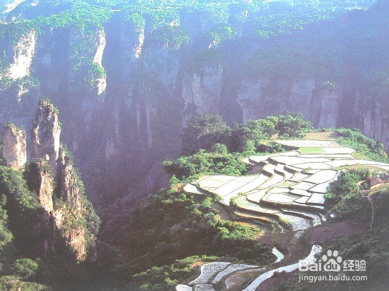 张家界客栈联盟