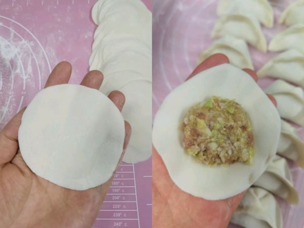 猪肉圆白菜饺子