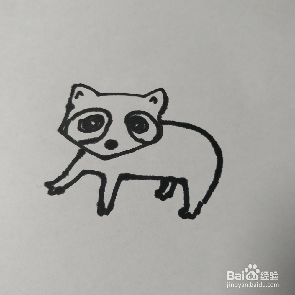 怎么画浣熊的儿童画?浣熊的儿童画怎么画呢?