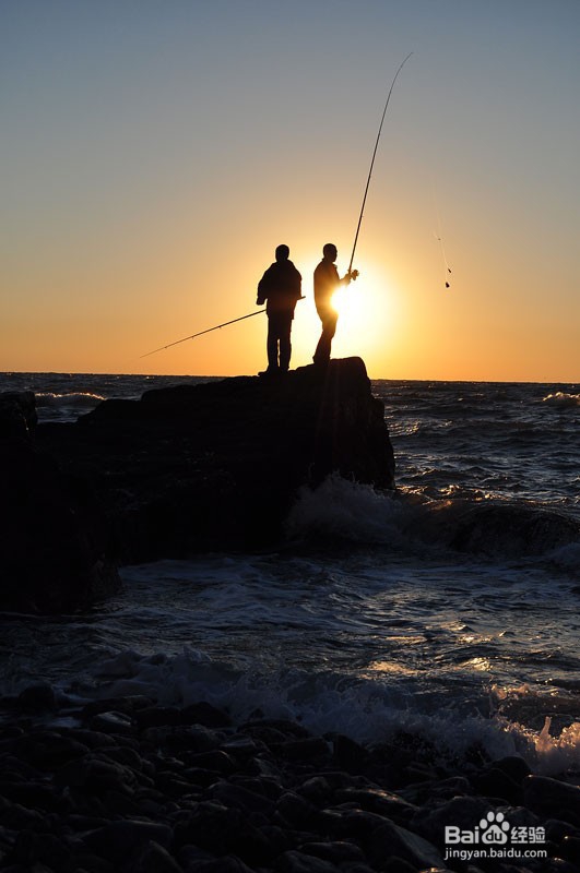 自制夏钓鲫鱼饵料配方及用法技巧有哪些